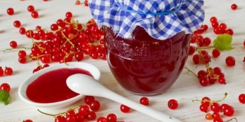 Kako napraviti žele od crvene ribizle: jednostavni recepti